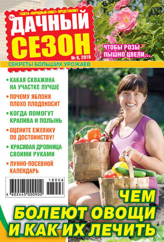 . Дачный сезон №06/2018