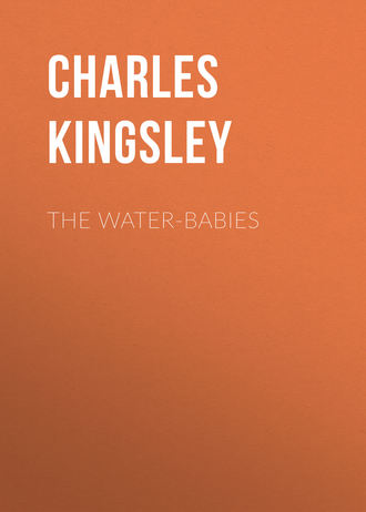 . The Water-Babies