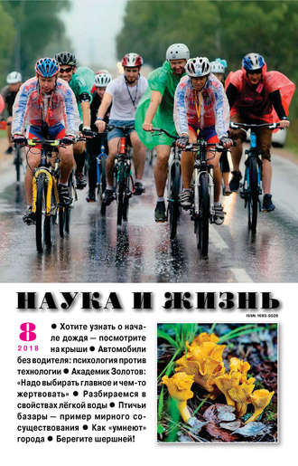 . Наука и жизнь №08/2018