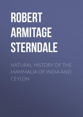 . Natural History of the Mammalia of India and Ceylon