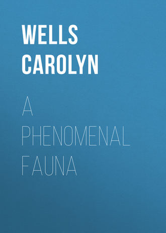 . A Phenomenal Fauna