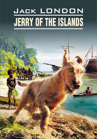 . Jerry of the Islands / Джерри-островитянин. Книга для чтения на английском языке
