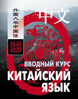 . Китайский язык. Вводный курс