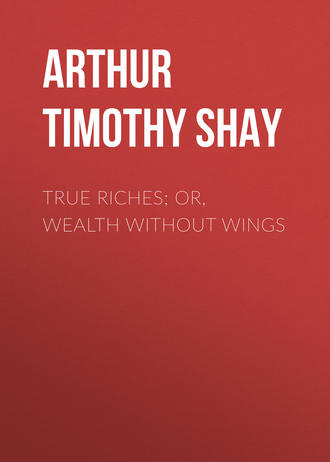 . True Riches; Or, Wealth Without Wings