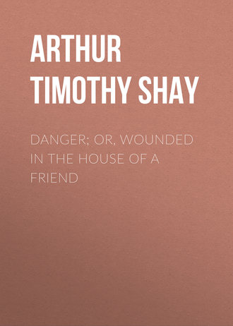 . Danger; Or, Wounded in the House of a Friend