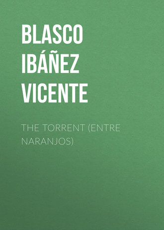 . The Torrent (Entre Naranjos)