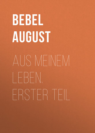 . Aus meinem Leben.  Erster Teil