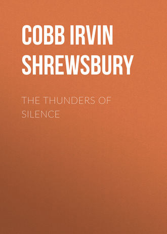 Cobb Irvin Shrewsbury. The Thunders of Silence