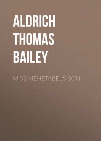 . Miss Mehetabel's Son