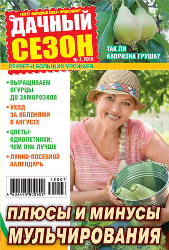 . Дачный сезон №07/2018
