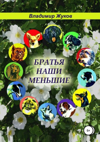 . Братья наши меньшие