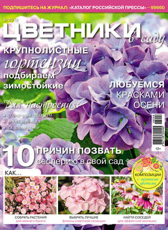 . Цветники в саду №9/2018
