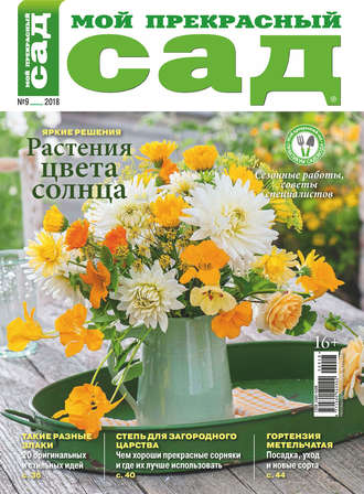 . Мой прекрасный сад №09/2018