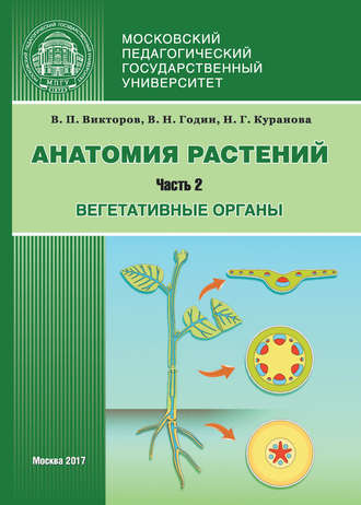 . Анатомия растений. Часть 2. Вегетативные органы
