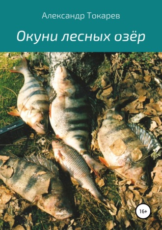 . Окуни лесных озёр
