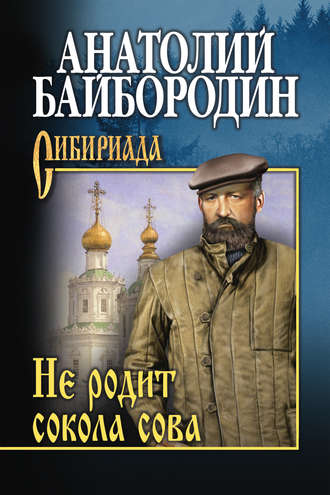 . Не родит сокола сова (сборник)