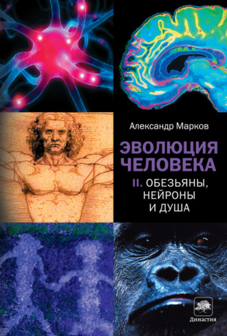 . Обезьяны, нейроны и душа