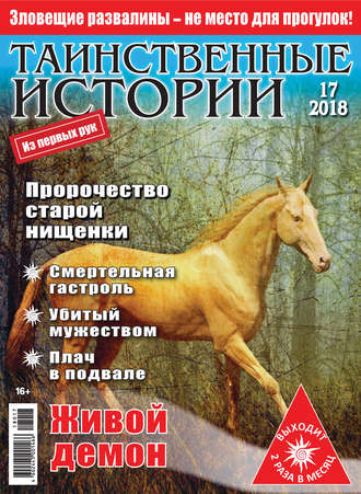 . Таинственные истории №17/2018