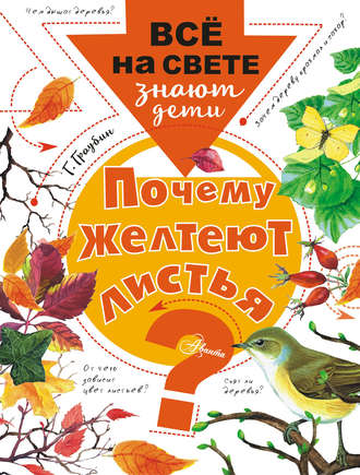. Почему желтеют листья?