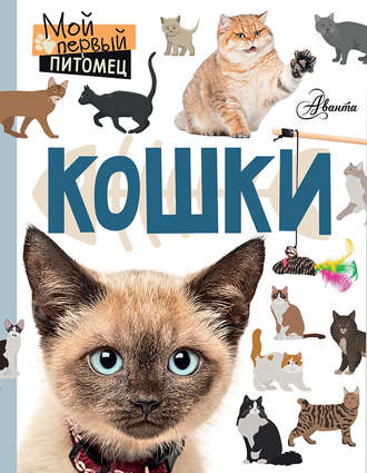 Мария Лагоша. Кошки