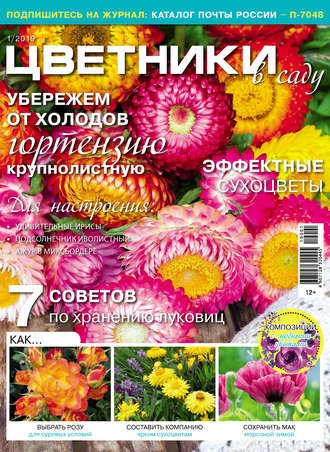 . Цветники в саду №01/2019