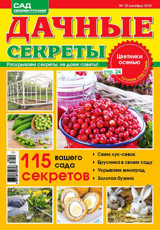 . Сад своими руками. Дачные секреты №10/2018