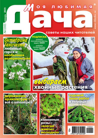. Моя любимая дача №01/2019