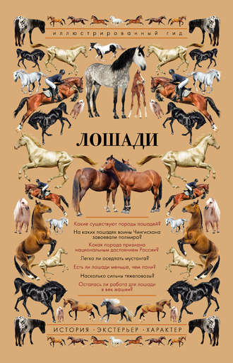 . Лошади. Иллюстрированный гид