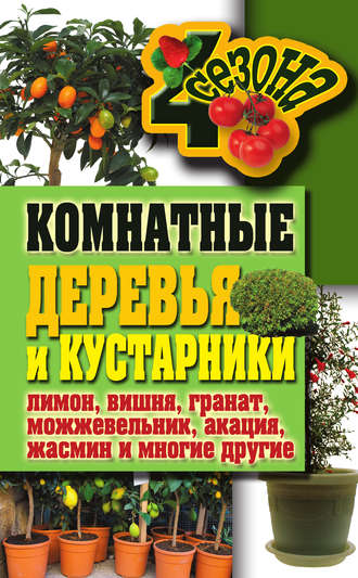 . Комнатные деревья и кустарники: лимон, вишня, гранат, можжевельник, акация, жасмин и многие другие