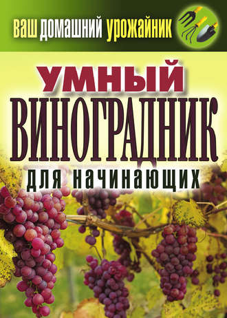 . Умный виноградник для начинающих