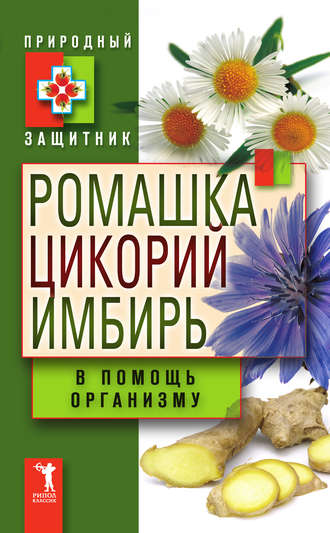 . Ромашка, цикорий, имбирь в помощь организму