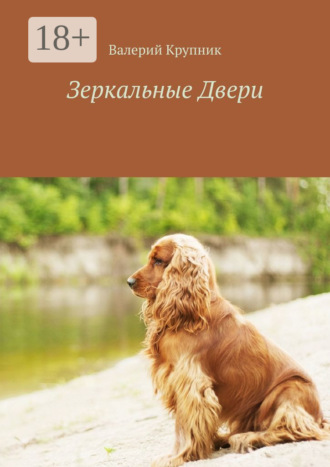 Валерий Крупник. Зеркальные Двери