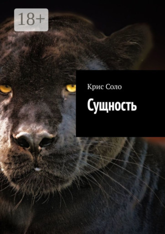 Крис Соло. Сущность