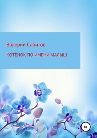 . Котёнок по имени Малыш