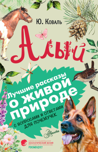 . Алый. С вопросами и ответами для почемучек