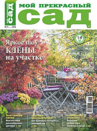 . Мой прекрасный сад №11/2018
