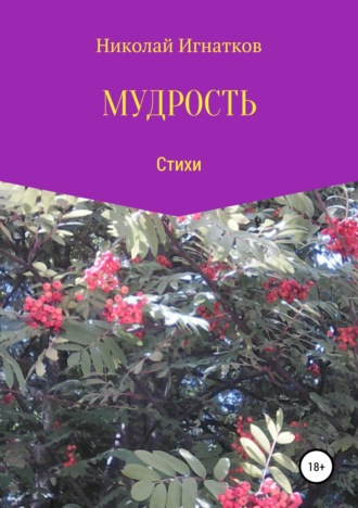 . Мудрость. Сборник стихотворений