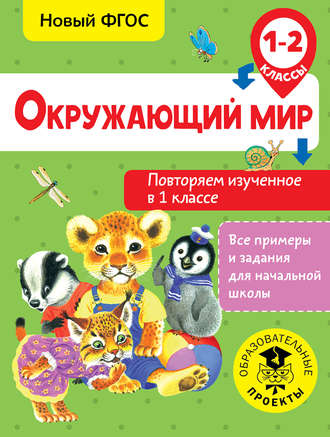 . Окружающий мир. Повторяем изученное в 1 классе. 1-2 класс
