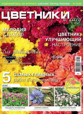 . Цветники в саду №11-12/2018