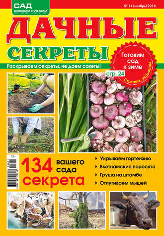 . Сад своими руками. Дачные секреты №11/2018