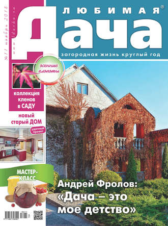 . Любимая дача №11/2018