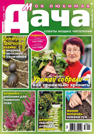 . Моя любимая дача №11/2018