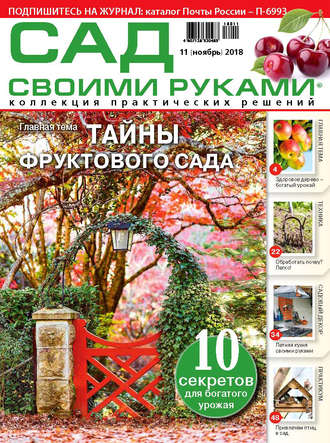 . Сад своими руками №11/2018