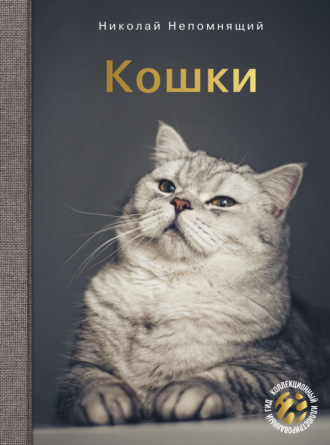 . Кошки