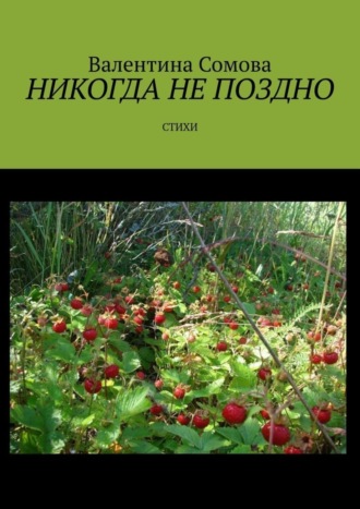 . Никогда не поздно. Стихи