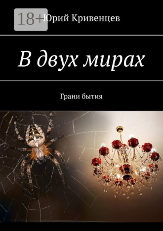 . В двух мирах. Грани бытия
