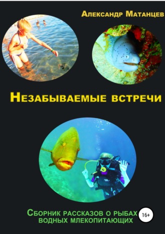 Александр Матанцев. Незабываемые встречи. Сборник рассказов о рыбах и водных млекопитающих