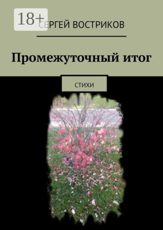 Сергей Востриков. Промежуточный итог. Стихи