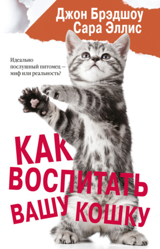 . Как воспитать вашу кошку