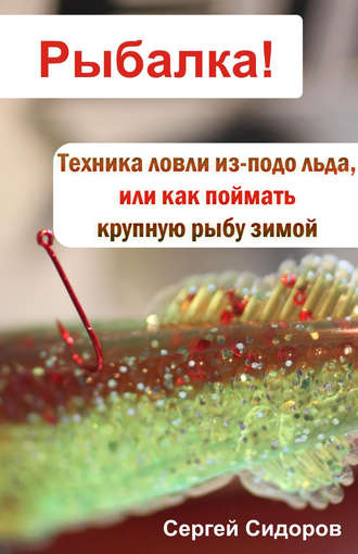 . Техника ловли из-подо льда, или Как поймать крупную рыбу зимой